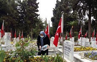 Şehit annesi Bedriye Hamlı: "Anneler Günü...