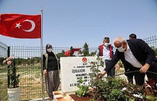 Şehit mezarları güllerle donatıldı