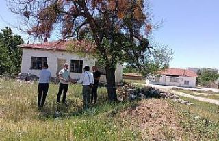 Şehitlerin isimleri ağaçta yaşatılacak