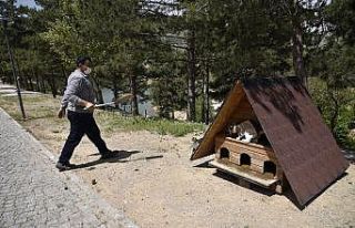 Selçuklu Belediyesi tam kapanmada da sokak hayvanlarını...