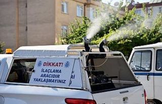 Selçuklu’da haşereyle mücadele çalışmaları