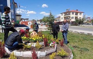 Selim Belediyesi ilçeyi çiçeklendiriyor