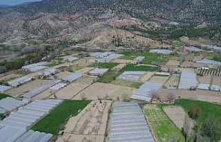 Sera bitkisel atıklarından ayda 6 bin kilogram organik...