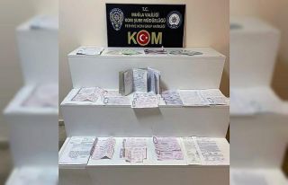 Seydikemer’de tefeci operasyonu