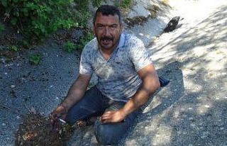 Seyir halindeyken lastiği patlayan tır alev alev...