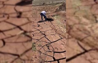 Siirt’te bataklığa saplanan keçi arıcı tarafından...