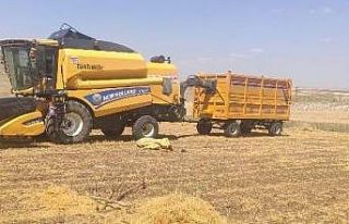 Siirt’te feci ölüm: Tamir etmek istediği biçerdövere...