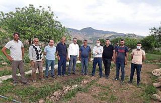 Siirt’ten 3 bölgeye 20 milyon sebze fidesi gönderildi