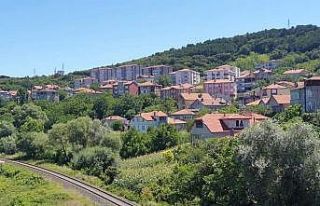 Silahla kendini vurdu iddiası