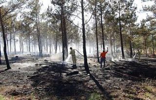 Silifke’de 20 dönüm ormanlık alan yandı