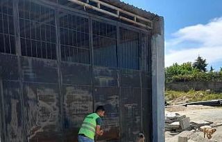 Silvan Belediyesi tam kapanmada da sokak hayvanlarını...