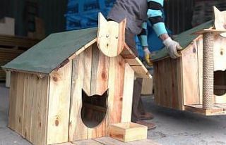 Sincan Belediyesinden sokak hayvanlarına yuva