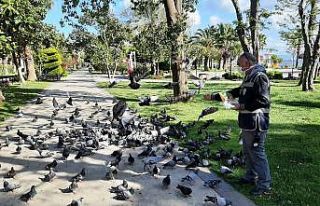 Sinop’ta aç kalan güvercinleri polisler besledi