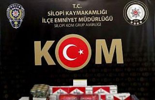 Şırnak’ta kaçakçılık operasyonu: 30 gözaltı