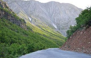 Şırnak’ta karlar eridi doğa yeşile büründü