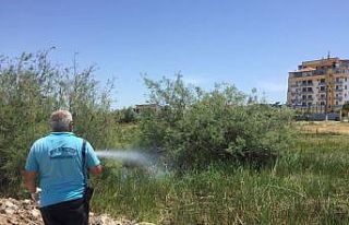 Sivrisinekle kesintisiz mücadele