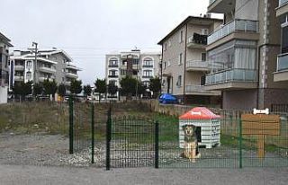 Sokak hayvanları için özel proje