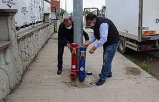 Sokak hayvanları kısıtlamada aç kalmadı