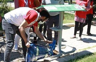 Sokak hayvanları unutulmadı