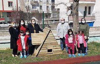 Sokak kedileri emin ellerde