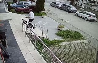 Sokak köpeğine çarpan sürücüden örnek davranış