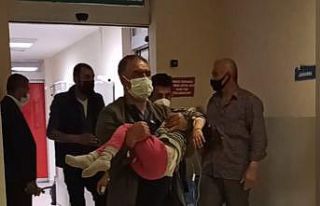 Sokakta buldukları ilaçları içen ikizler hastanelik...