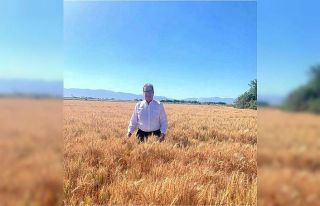 Söke Borsa Başkanı Nejat Sağel: “Buğday fiyatları...