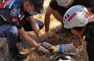 Su kuyusuna düşen yavru yaban domuzlarını ekipler...