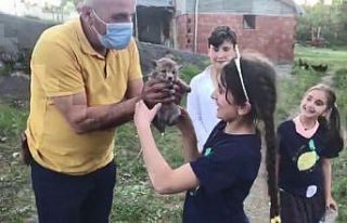 Sulama havuzunda mahsur kalan yavru tilkiler kurtarıldı