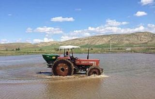 Sungurlu’da çeltik ekimi başladı
