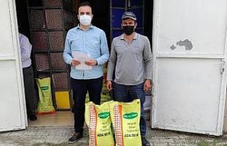 Sungurlu’da çiftçilere silajlık mısır tohumu...