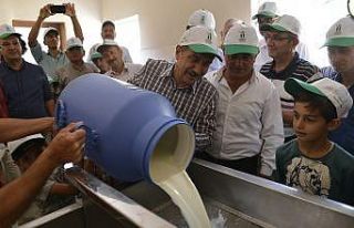 Süt üreticilerinin emeği kazanca dönüşüyor