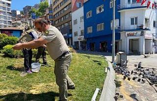 Tam kapanmada aç kalan güvercinleri beslediler