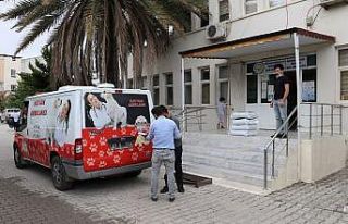 Tam kapanmada sokak hayvanları unutulmadı