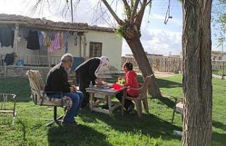 Tam kapanmayı doğa ile iç içe geçiriyorlar