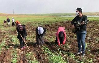 Tarlada çalışan işçi annelere konser