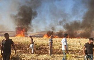 Tarlada çıkan yangın korkuttu
