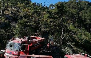 Tarladan ormanlık alana sıçrayan yangın söndürüldü