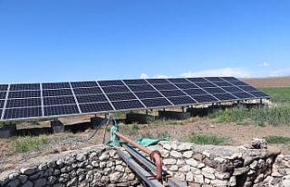 Tarlasına kurduğu güneş paneli sayesinde ekinlerini...