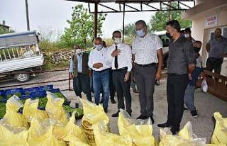 Tarsus Belediyesinden doludan zarar gören çiftçileri...