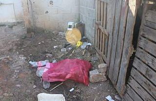 Tarsus’ta iki aile arasında tarla kavgası: 5 yaralı
