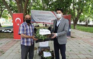 Tatlı patates tatlı kazanç