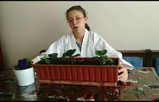 Teakwondo sporcularının pandemi döneminde ‘Hünerli...