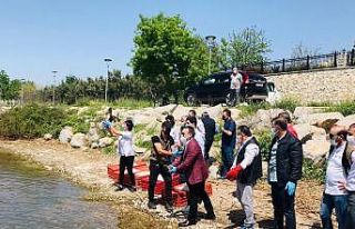 Tedavileri tamamlanan hayvanlar doğaya salındı