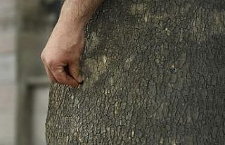 Teke böceğiyle mikroenjeksiyon yöntemi ile mücadele...