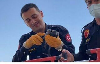 Tele takılan güvercini itfaiye ekipleri kurtardı