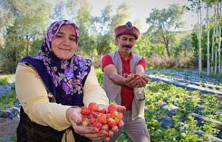 Televizyonda gördü dikti, şimdi telefonla sipariş...