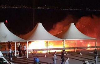 TEM’de seyir halindeki tırın dorsesi alev alev...