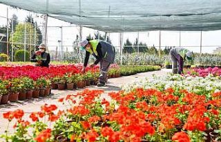 Tepebaşı’nın dört bir yanını süslüyorlar
