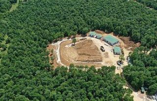 Tepecik mesire alanı açılışa hazırlanıyor